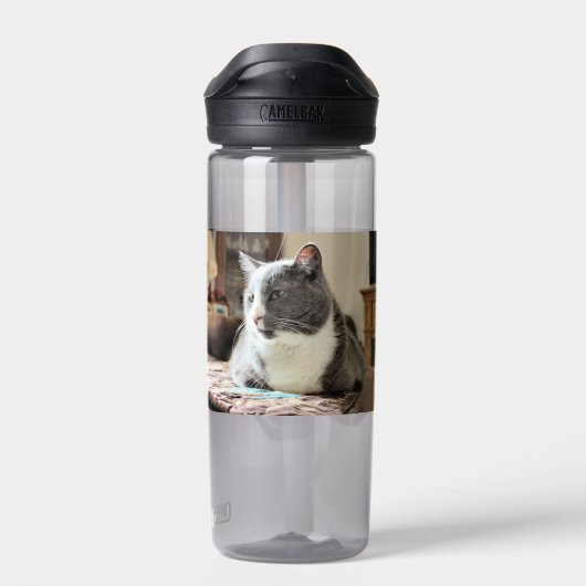 猫 ウォーターボトル (背面)