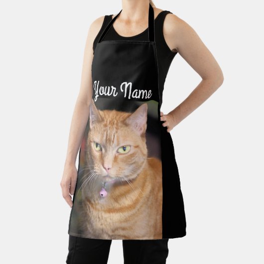 猫 エプロン (インサイチュ)