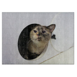猫 カッティングボード