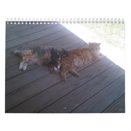 猫 カレンダー (カバー)