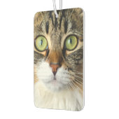 猫 カーエアーフレッシュナー (左)