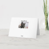 猫 カード (裏面)