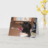 猫 カード (黄色い花)