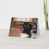 猫 カード (正面)