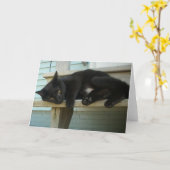 猫 カード (黄色い花)