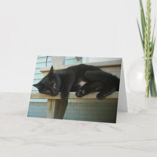 猫 カード (正面)