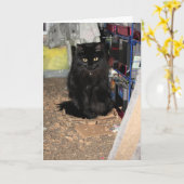 猫 カード (黄色い花)