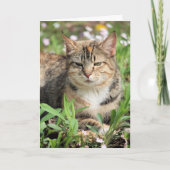 猫 カード (正面)