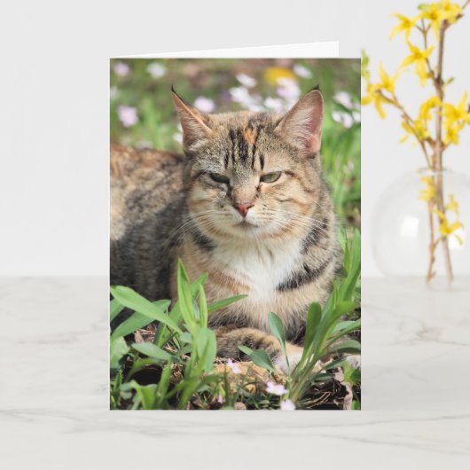 猫 カード (黄色い花)