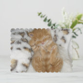 猫 カード (スタンド正面)