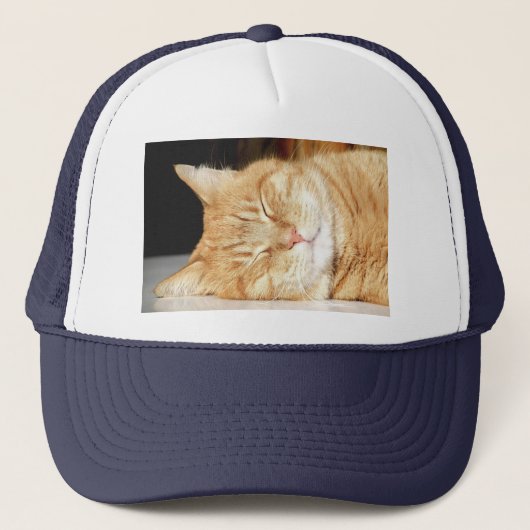 猫 キャップ (正面)