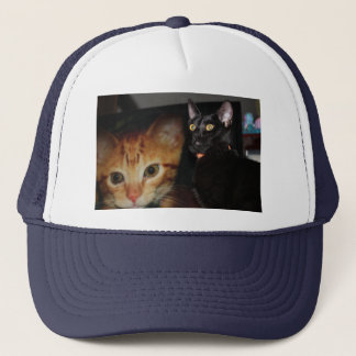 猫 キャップ