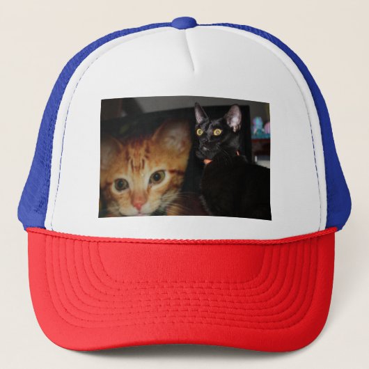猫 キャップ (正面)