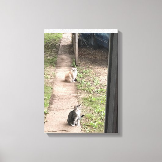 猫 キャンバスプリント (正面)