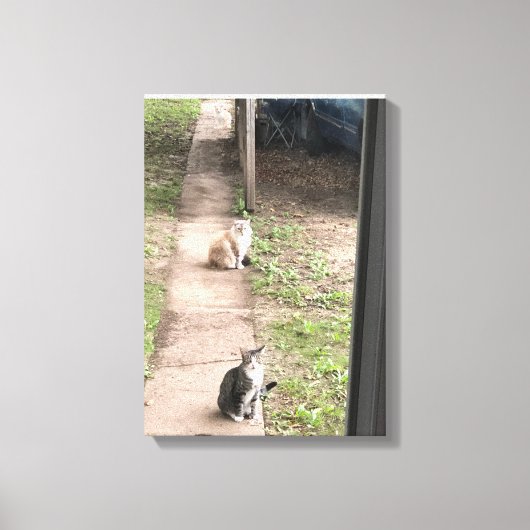猫 キャンバスプリント (正面)