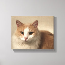 猫 キャンバスプリント