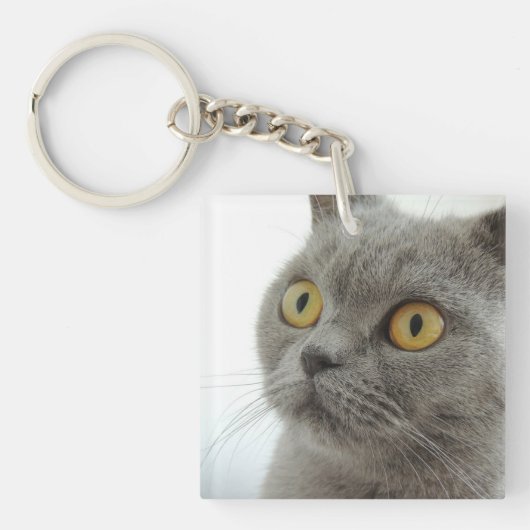 猫 キーホルダー (正面)