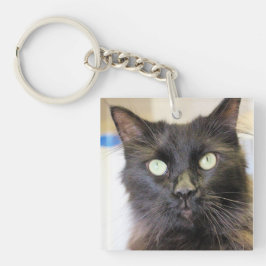 猫 キーホルダー