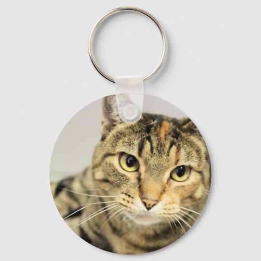 猫 キーホルダー (正面)