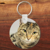 猫 キーホルダー (正面)