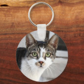 猫 キーホルダー (正面)