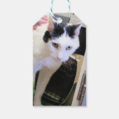 猫 ギフトタグ (正面)