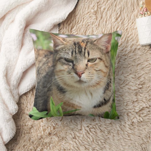 猫 クッション (ブランケット)