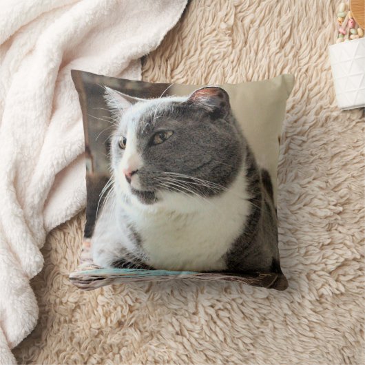 猫 クッション (ブランケット)