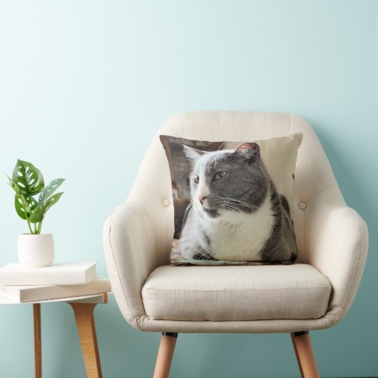 猫 クッション (椅子)