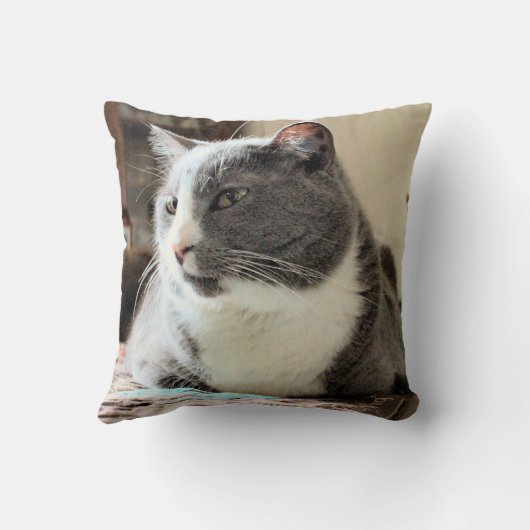 猫 クッション (裏面)