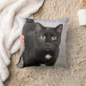 猫 クッション (ブランケット)