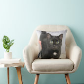 猫 クッション (椅子)