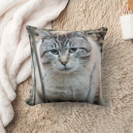 猫 クッション (ブランケット)