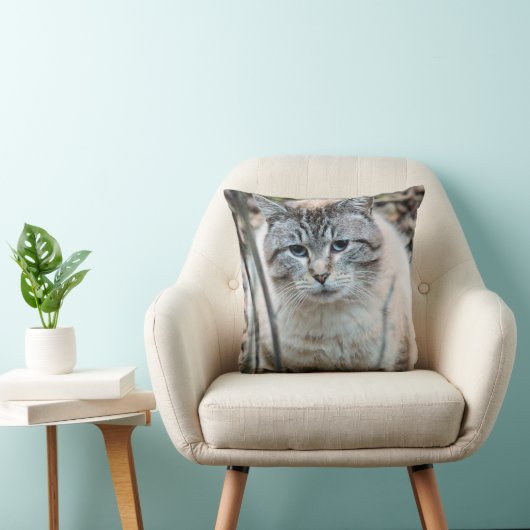 猫 クッション (椅子)