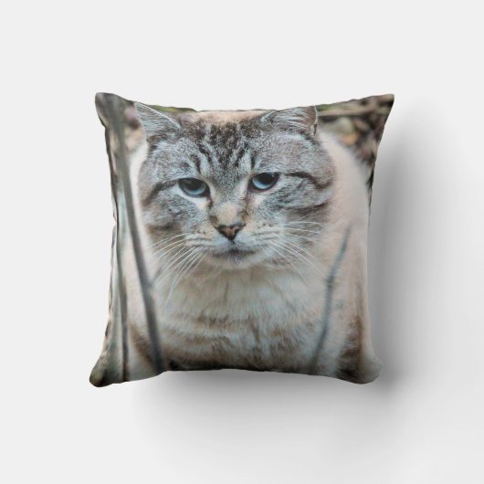 猫 クッション (裏面)