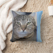 猫 クッション (ブランケット)