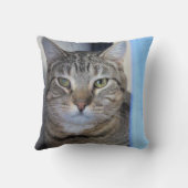 猫 クッション (裏面)