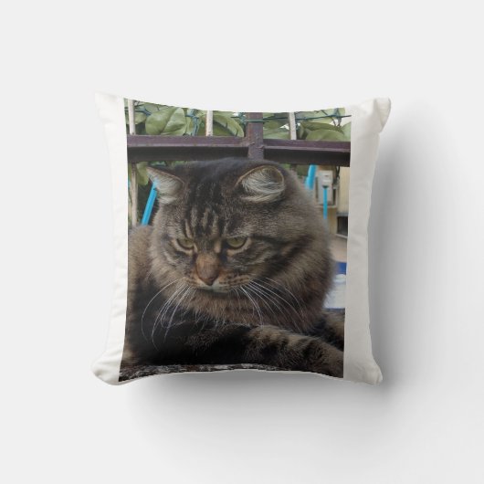 猫 クッション (正面)