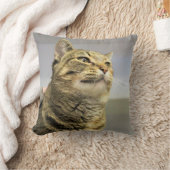 猫 クッション (ブランケット)