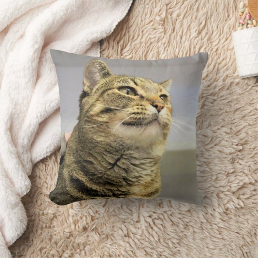 猫 クッション (ブランケット)