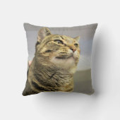 猫 クッション (裏面)