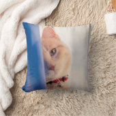 猫 クッション (ブランケット)