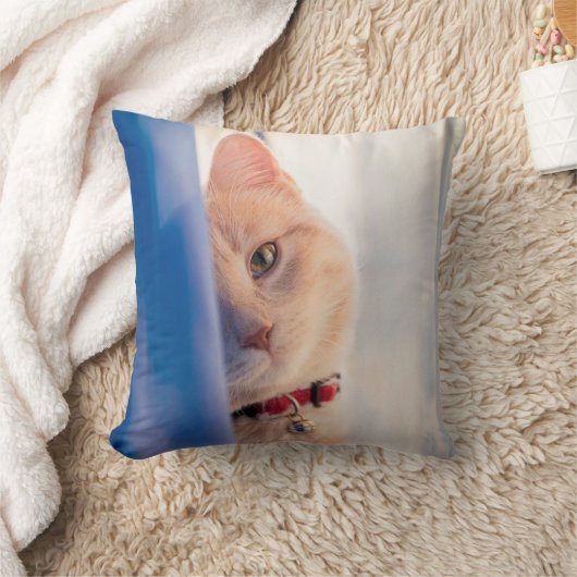 猫 クッション (ブランケット)