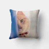 猫 クッション (裏面)