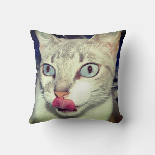 猫 クッション (裏面)