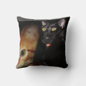 猫 クッション (裏面)