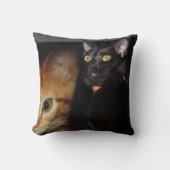 猫 クッション (正面)