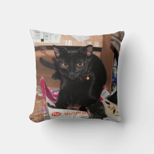 猫 クッション (正面)