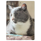 猫 クリップボード (裏面)