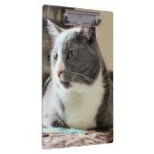 猫 クリップボード (右)